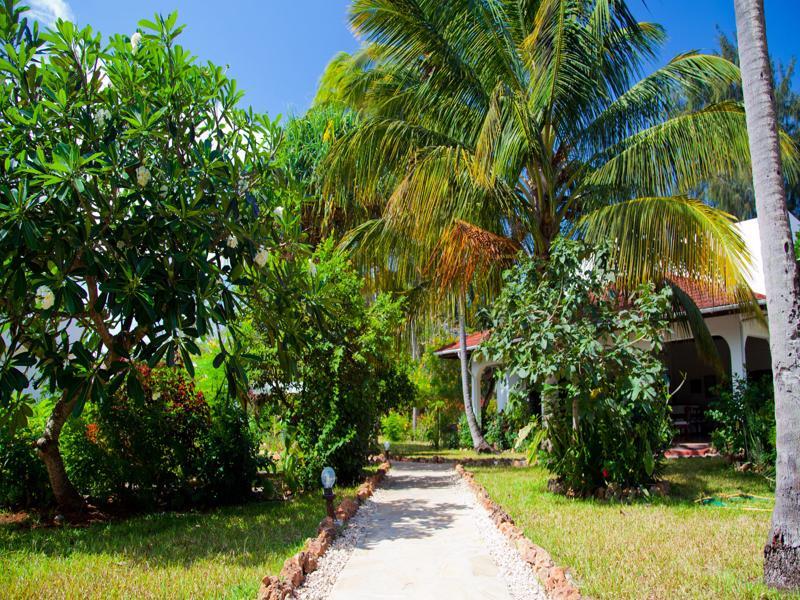 Flame Tree 3*